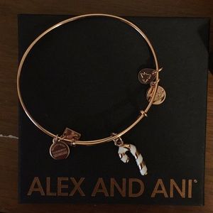Alex and Ani Bracelet